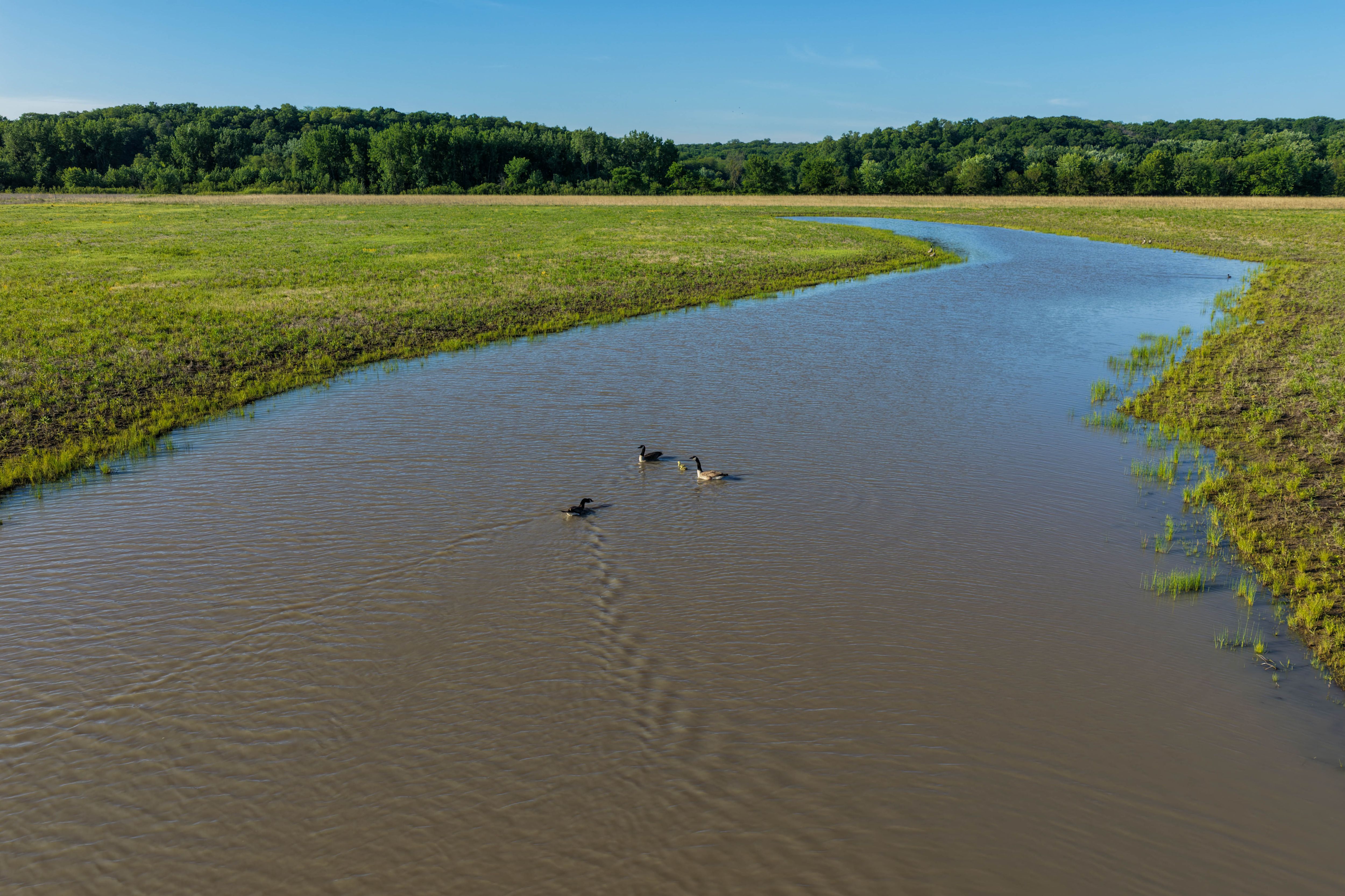 Listing Photo: Washington County Iowa Combination Farm For Sale-20